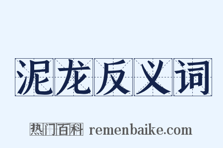 泥龙反义词是什么意思的图片